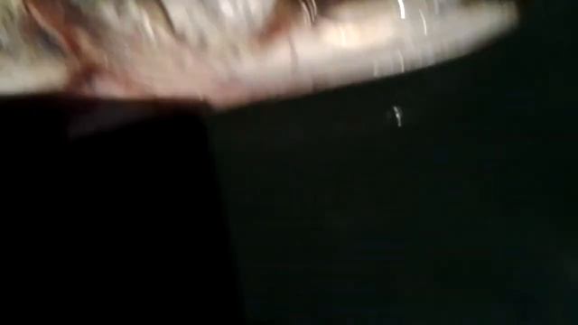 Щука 6 кг. Река Суходрев.