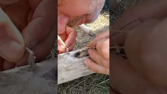 Добыча огня трением. Или чем занимаются мужчины без женщин ? смотреть онлайн