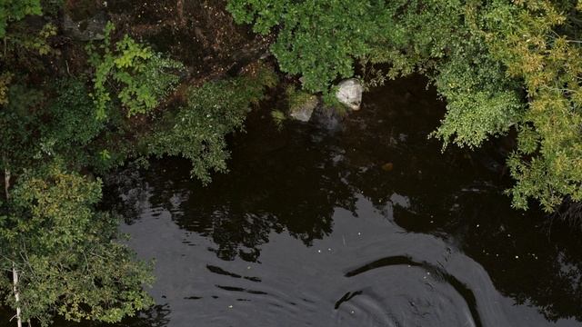 Дикая Скандинавия 4 серия «Загадочные Воды» (документальный сериал, 2019) смотреть онлайн