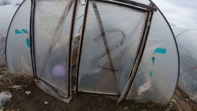 12_21Как закрыть балаганы_ Что делаем с растениями_ Первые работы на клубнике.