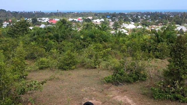 The Undiscovered Forest In Zanzibar | Masingini смотреть онлайн