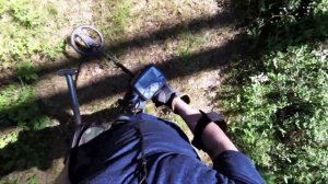 Жаркий коп на лесной дороге!