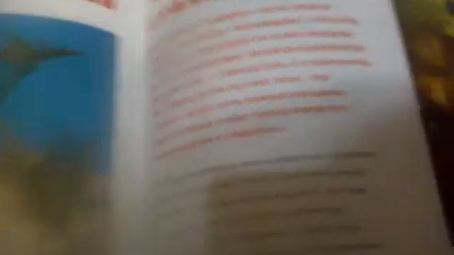 Продолжение 1000 вопросов и ответов смотреть онлайн