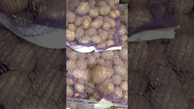 Картофель Гала оптом Брянская область смотреть онлайн