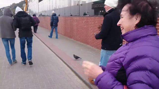Светлогорск набережная 1 смотреть онлайн