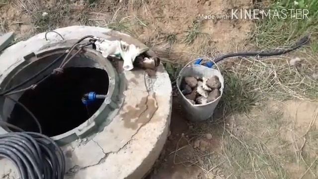 Вытащил камни из скважины #Мастерская21rus #мастернастодел смотреть онлайн