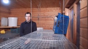 Расход корма самкой и молодняком кроликов до забоя. Серия №2 (31 день )