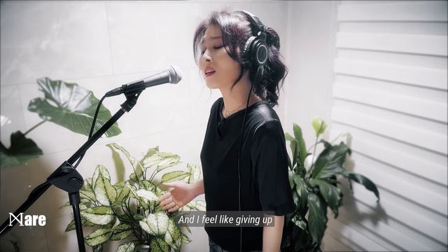 Dream Theater - Wither (Cover by Mare) смотреть онлайн