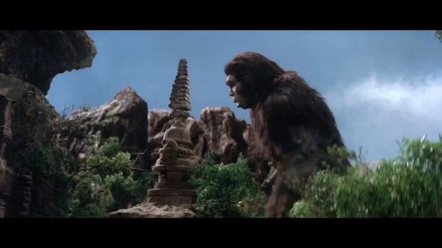 Gorilla King! - The Monkey Box смотреть онлайн