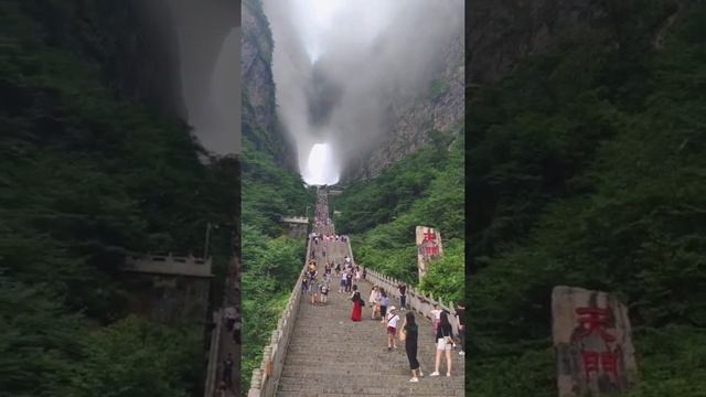 Tianmen Mountain National Forest Park...???? смотреть онлайн
