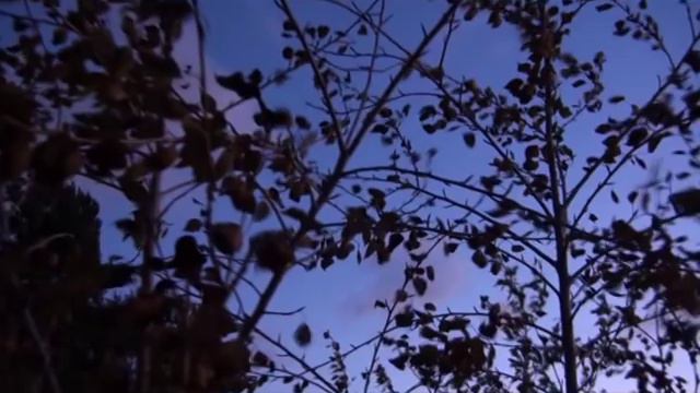 Другой Мравинский смотреть онлайн