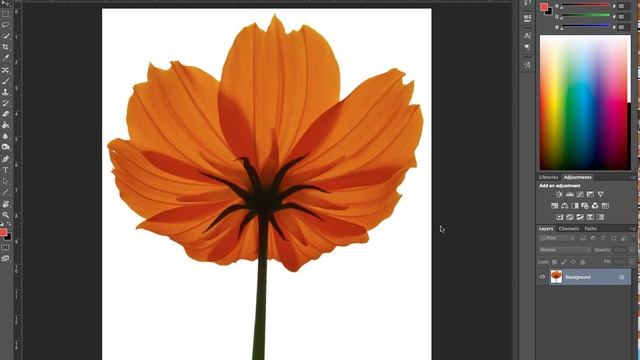 Removing white background in photoshop - Photoshop clear cutting guide [1/4] смотреть онлайн