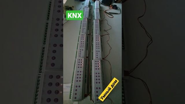 Работа KNX реле.www.module-electronic.ru #knx #умныйдом #sas #technology смотреть онлайн