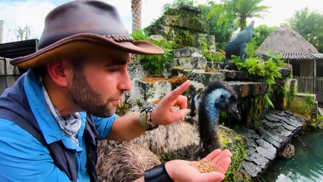 Jurassic World Explorers: RAPTOR TRAINING DAY! | Jurassic World смотреть онлайн