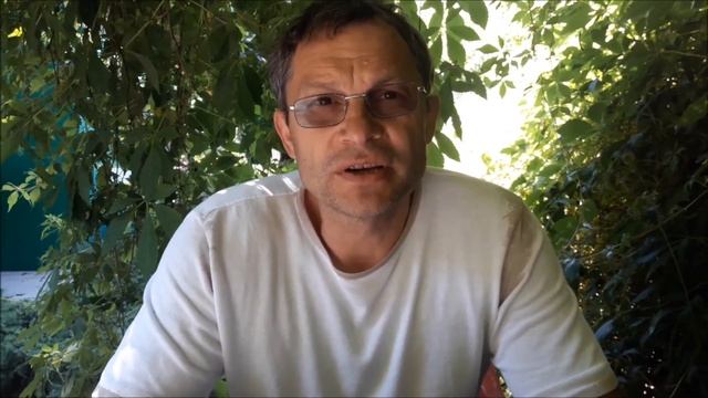 Чемпионат 2020 Феникс МСК смотреть онлайн