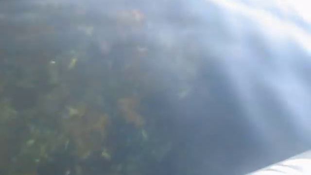 Рыбалка на Баренцевом море - 2. смотреть онлайн