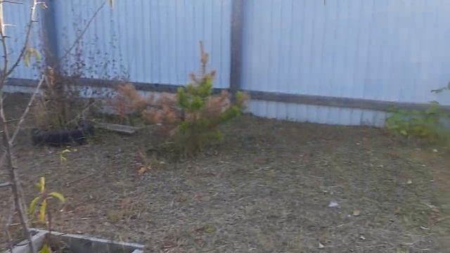 Итоги летнего сезона 2023г. Планы на будущий контент смотреть онлайн