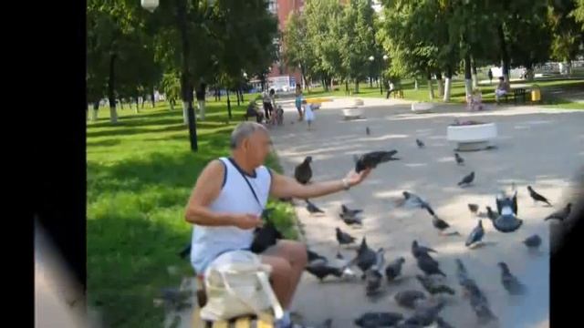 прощайте голуби_MP4_.mp4 смотреть онлайн