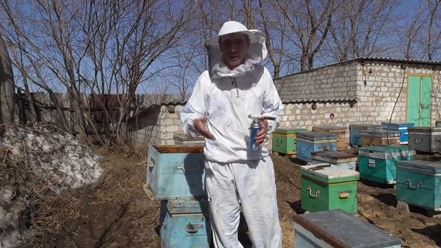 Как перезимовал бродячий рой.Почему сыро в улье? смотреть онлайн