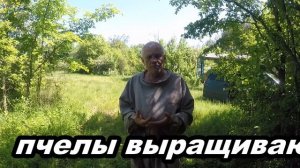 Борьба с роением пчел Несколько простых способов Роение пчёл