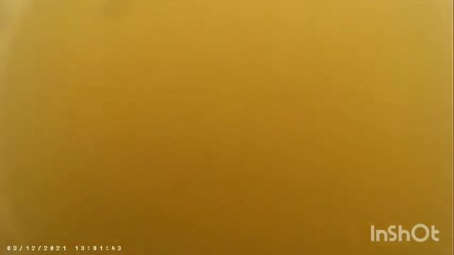 NoktaMakro?PulseDive подводный?поиск смотреть онлайн