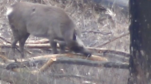 Солонцовые истории и не только. смотреть онлайн