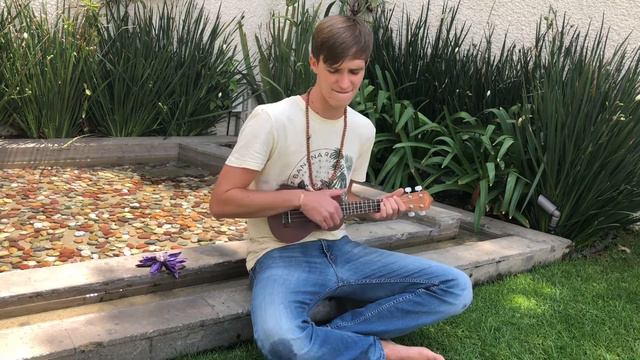 Somewhere Over the Rainbow🌈 (ukulele song) смотреть онлайн