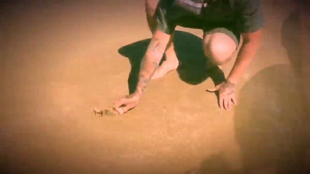 Beach worming with Berkley Gulp смотреть онлайн