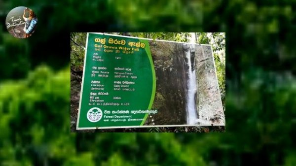 Sinharaja Forest Documentary Travel Destinations Srilanka World Heritage