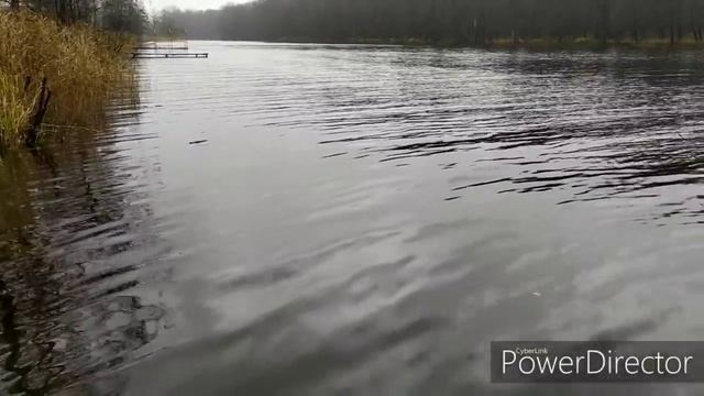 НЕ ПЕРЕСТАНУ ВАС БЛАГОДАРИТЬ ДОРОГИЕ МОИ смотреть онлайн