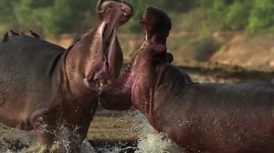 Театр песни "Талисман" - Африка