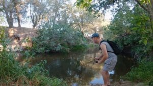 Ультралайт на ручье в Сакраменто/Отличный клев/Окунь/Гольян/Другая жизнь