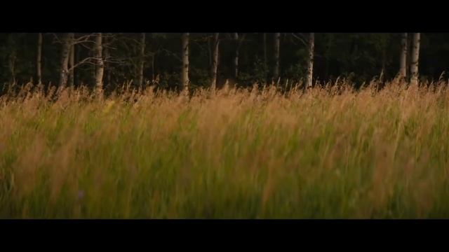 Топ 7 самых ожидаемых фильмов 2022г..mp4 смотреть онлайн