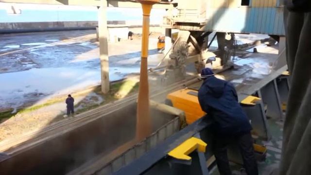 Зерновой пылесос Пневмотранспортер VIGAN в порту   380996809388