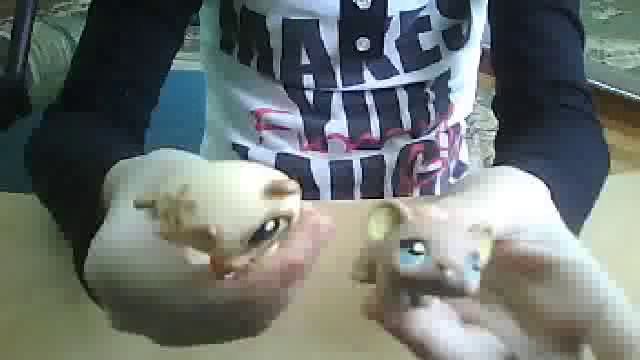 Видео с веб-камеры. Дата: 13 января 2013 г., 12:48. смотреть онлайн