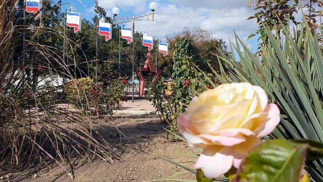 Село Молочное 15.10.2022 Сакский район Крым смотреть онлайн