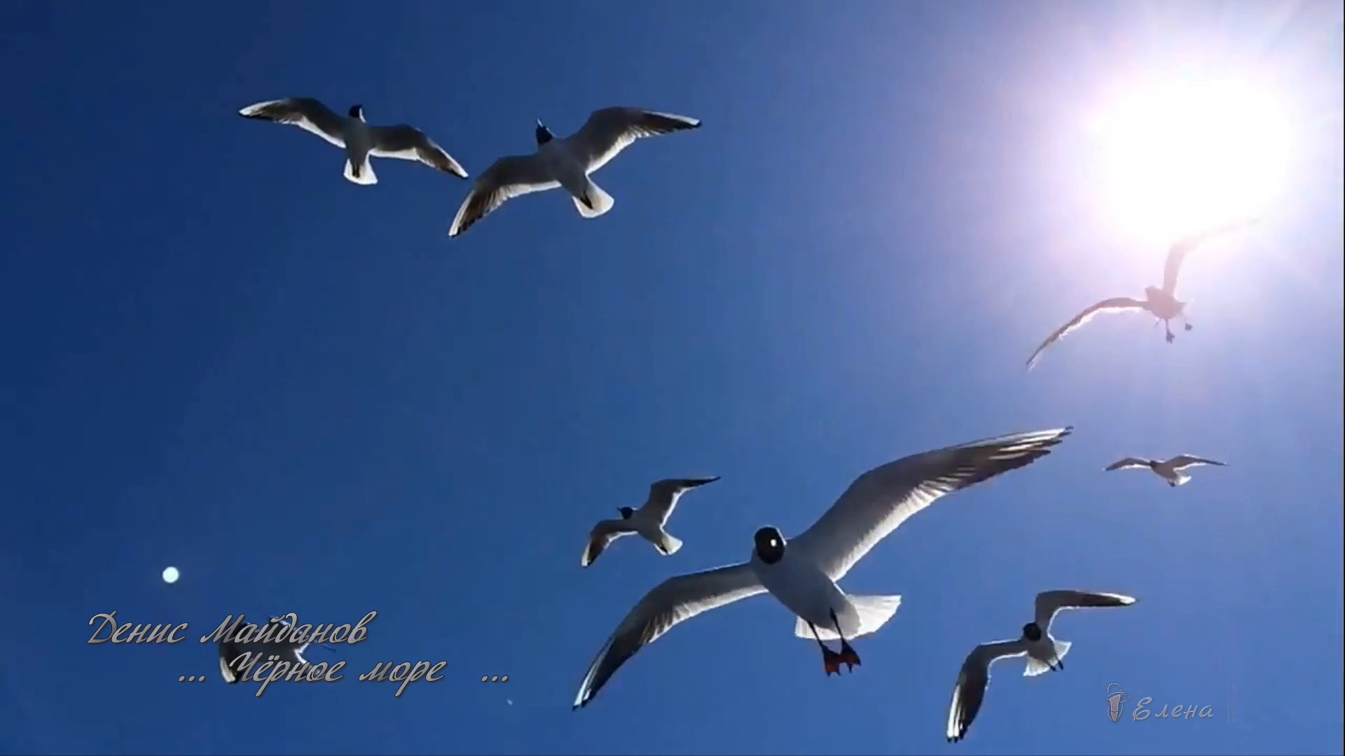 Чёрное море*  Денис Майданов