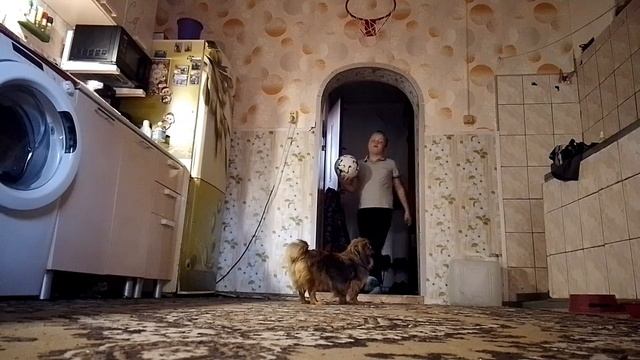 проверка моей меткости смотреть онлайн