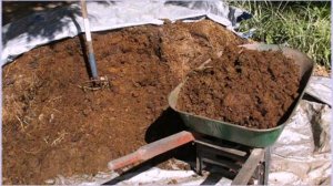 Когда лучше вносить навоз на грядку в почву — весной или осенью