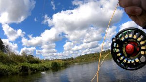 Классическая мушка для голавля "Жук"