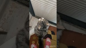 Что делать, если заклинило Ночную задвижку китайского типа