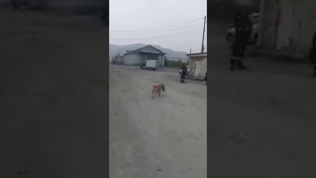 еруда вахта смотреть онлайн