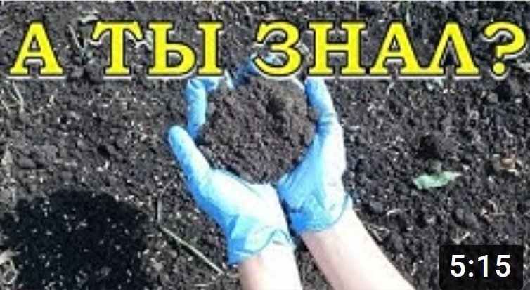 Отчего ЗАКИСЛЯЕТСЯ ПОЧВА? Способы раскисления смотреть онлайн