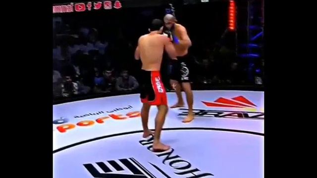 Khamzat Chimaev BORZ HIGHLIGHTES