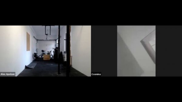 Workout of the Day : Toes To Bar - Burpees - Dumbbell Step Ups - Handstand push ups