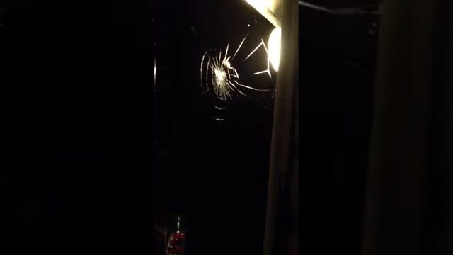 Busy Spider pt 2 смотреть онлайн