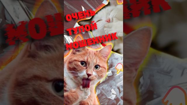 Мошенник школьник #shorts #мошенникизвонят #разводпотелефону #svita #антижульница #звонокизбанка смотреть онлайн