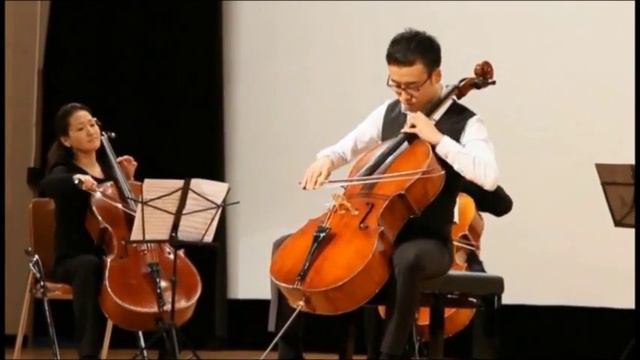 Allegro appassionato in b minor 생상 смотреть онлайн