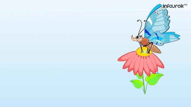 Мир насекомых. Видео занятие для дошкольников