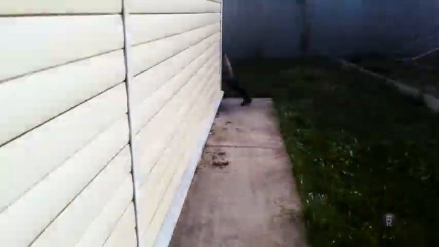 Вовка убегает от папы видео наоборот смотреть онлайн